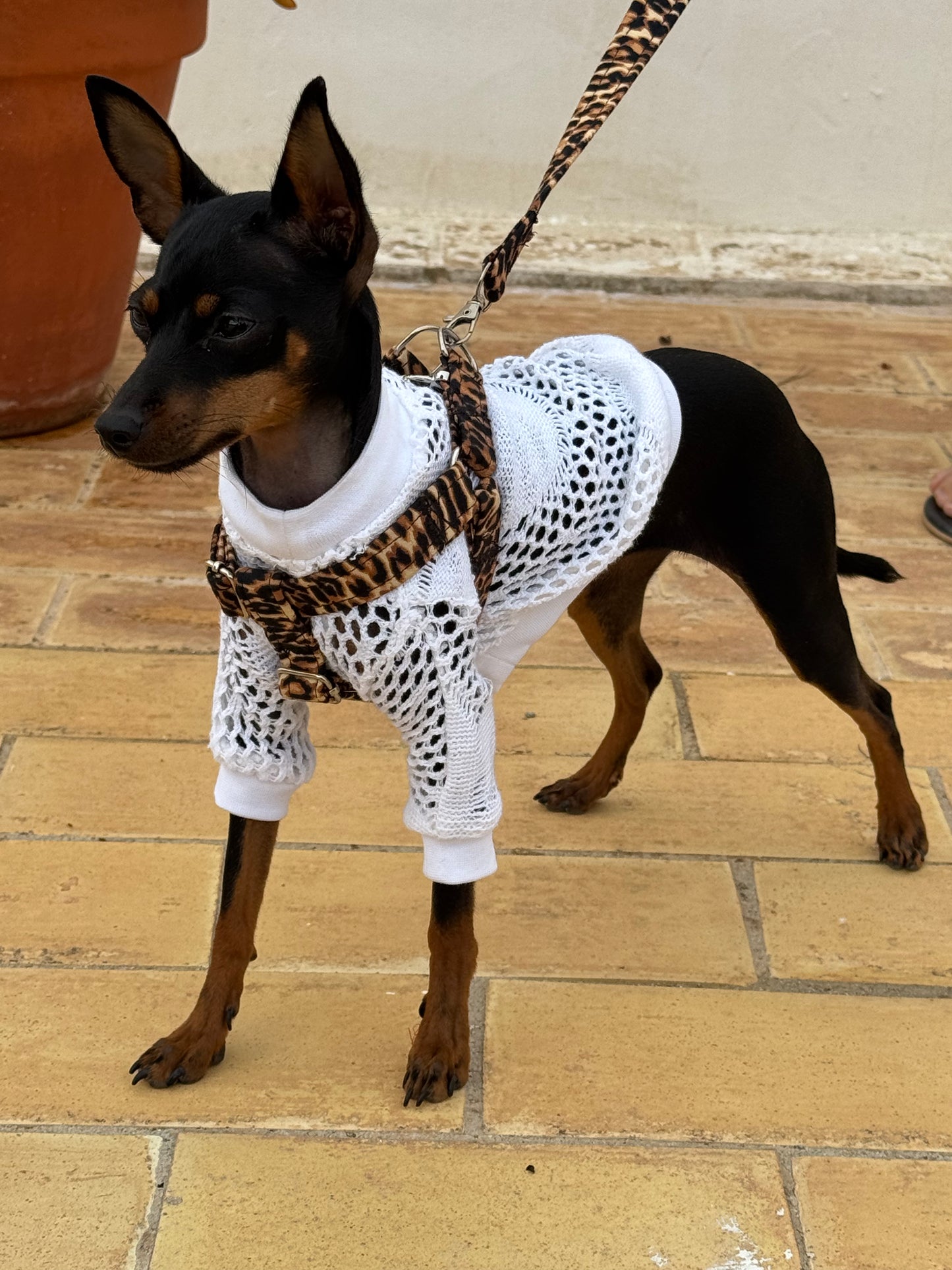 "Leopardo" Arnés de perro