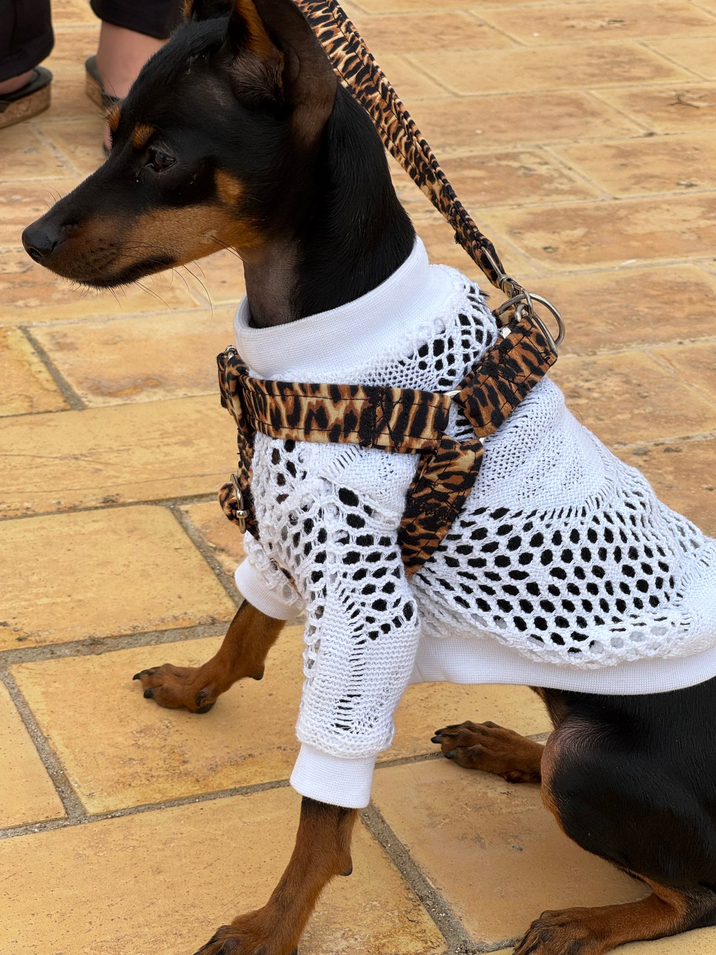 "Leopardo" Arnés de perro